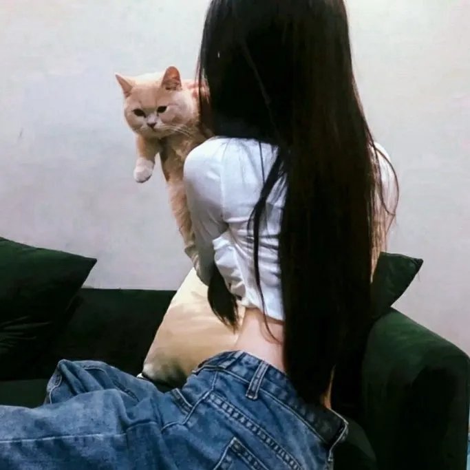 卫斯理之老猫